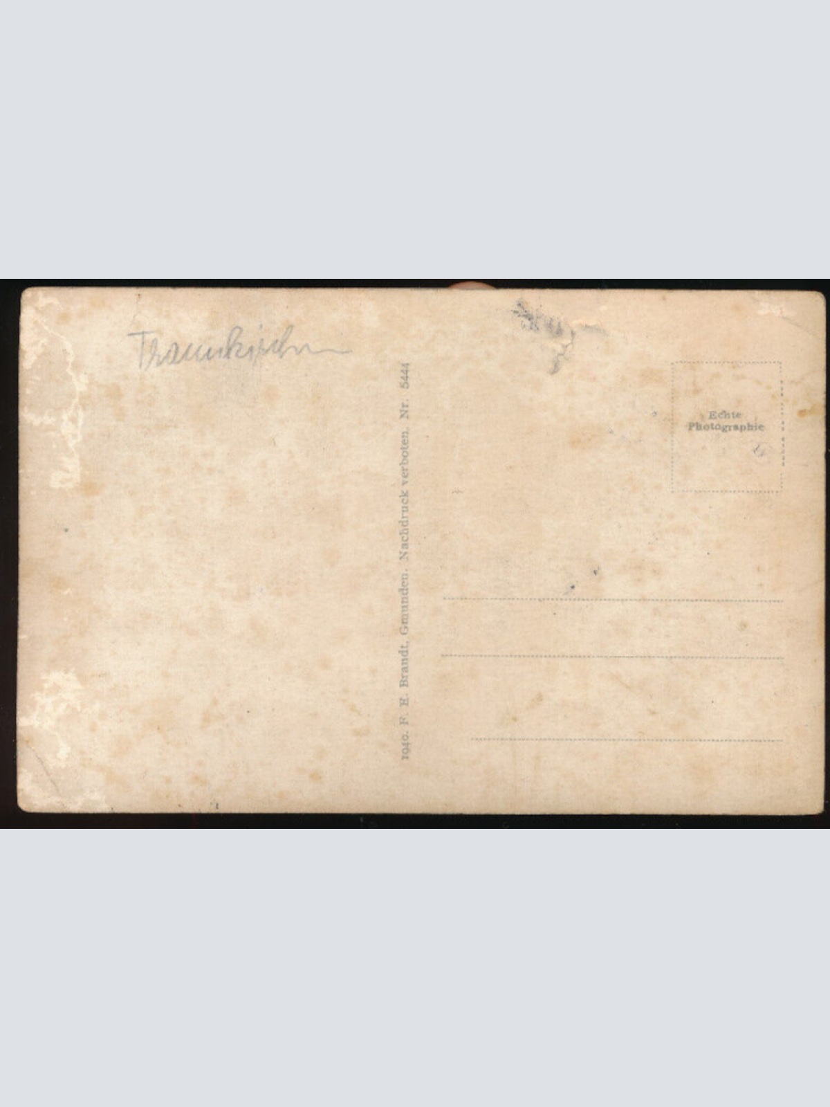 AK vom Traunsee Oberösterreich (3913)