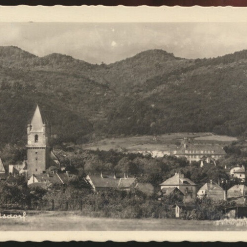 AK aus Perchtoldsdorf Niederösterreich (3791)