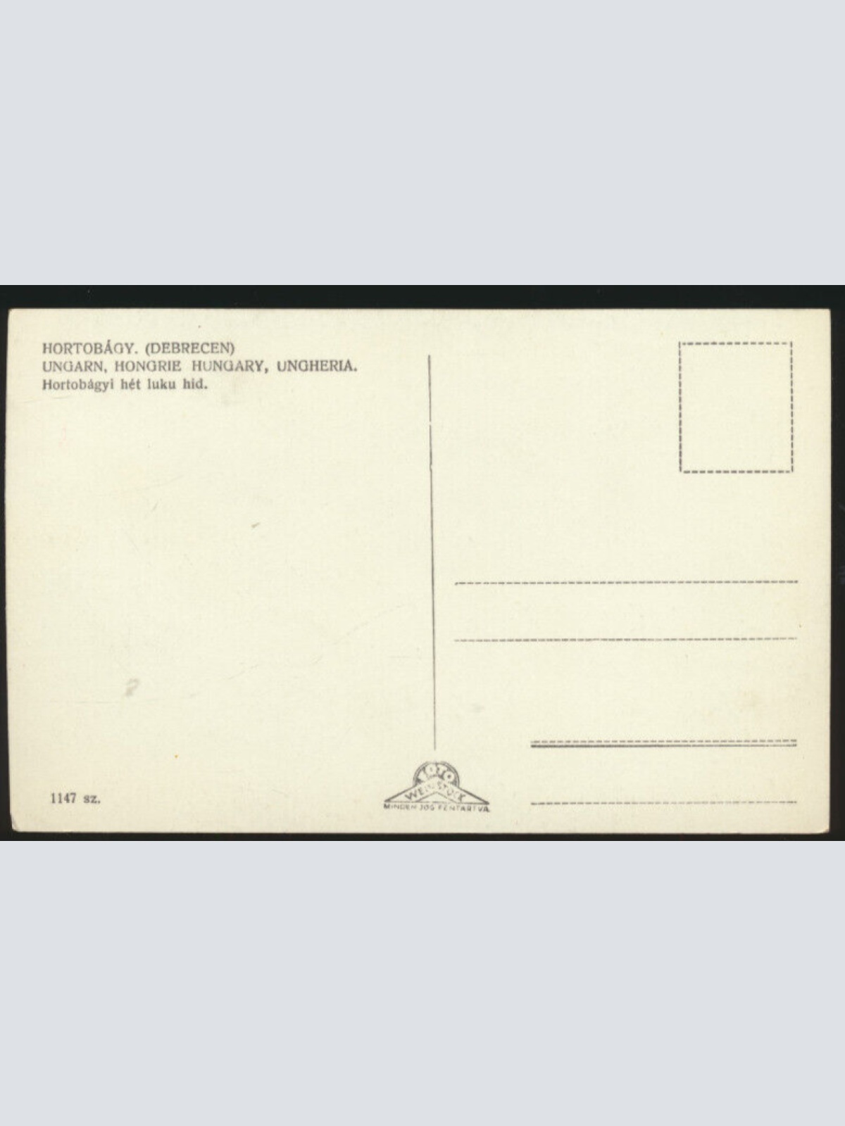 AK aus Hortobagy mit Gänsen Ungarn (4313)