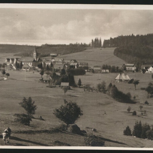 AK aus Schönwald Baden-Württemberg (4253)