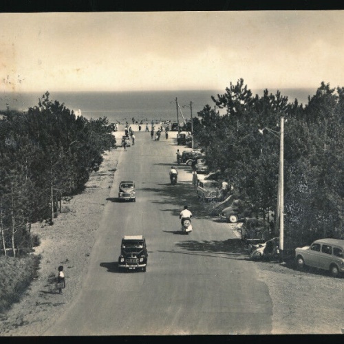 AK aus Lignano Pineta Udine mit Oldtimer und Strasse zum Meer Italien (4007)