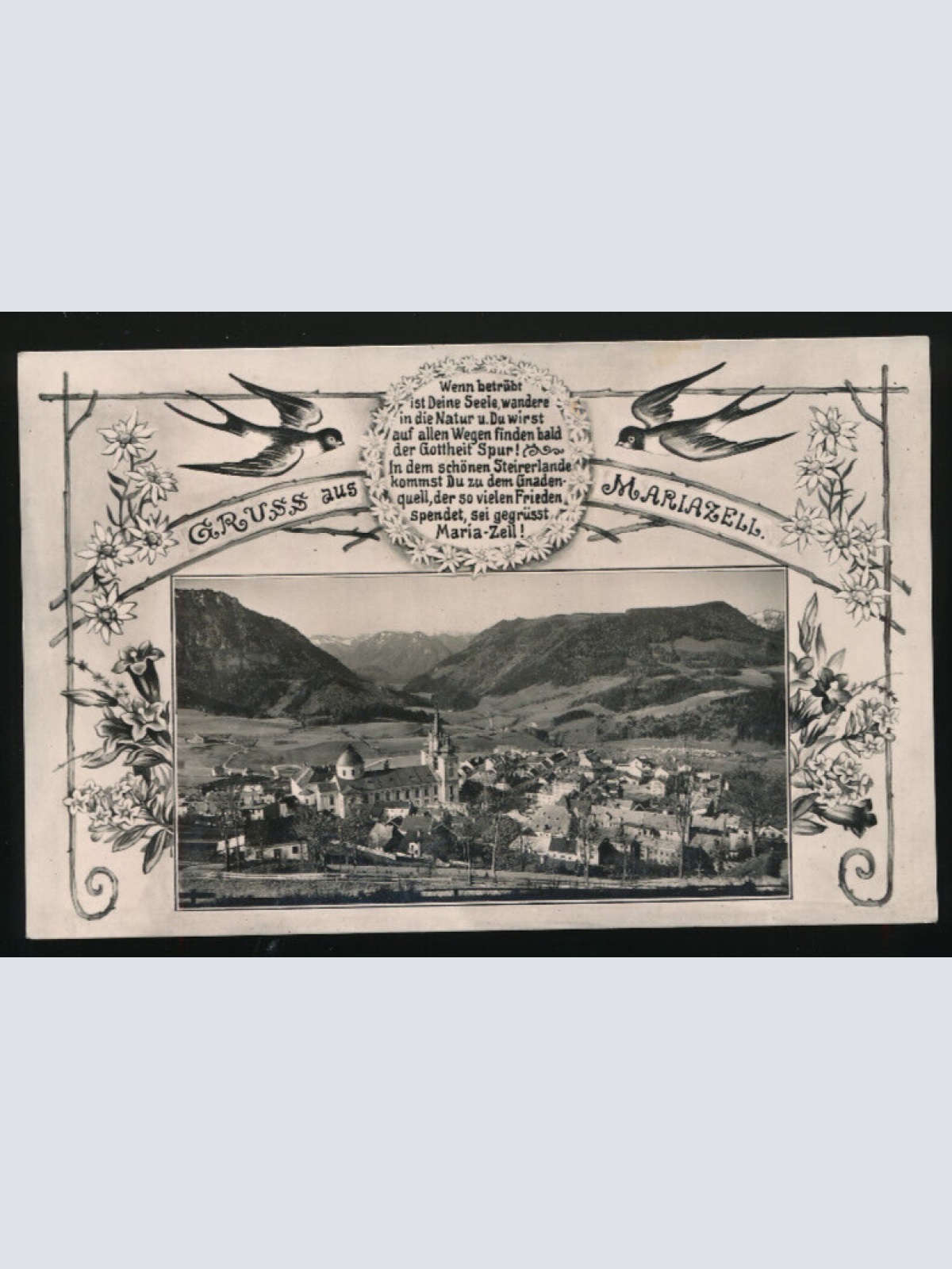 AK gruß aus Mariazell mit Schwalben Steiermark (3732)