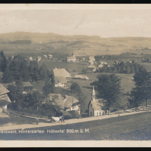 AK aus Hinterzarten Schwarzwald Baden - Württemberg (4685)