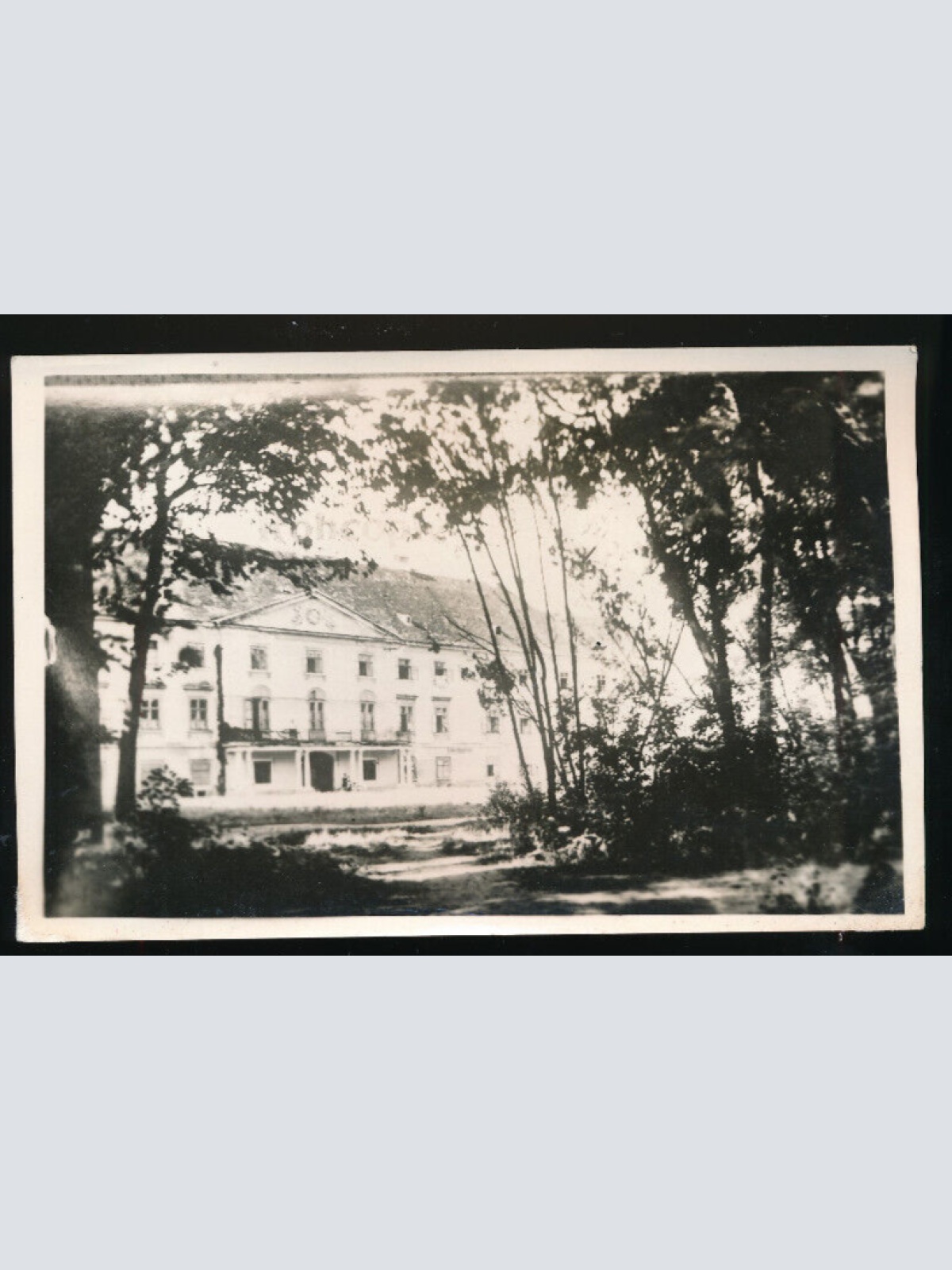 AK aus Trautmansdorf Niederösterreich (4841)