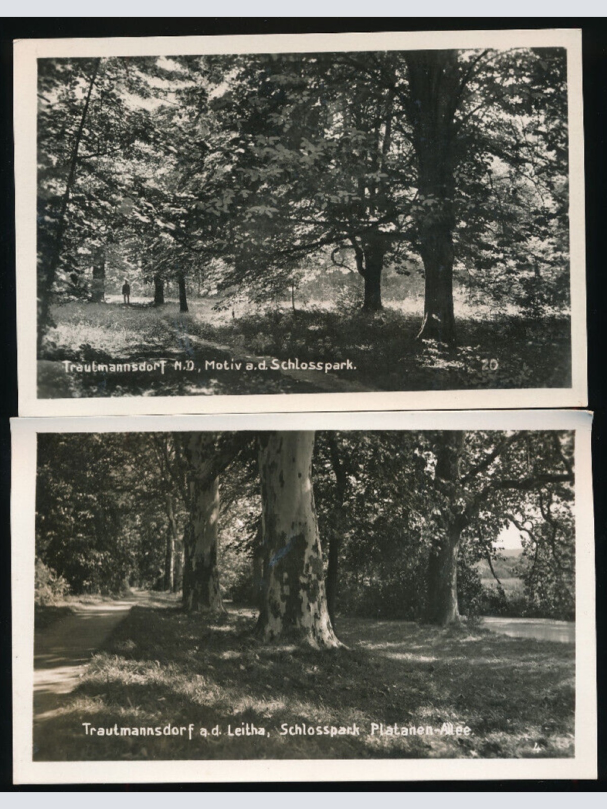 2 Karten aus Trautmansdorf Schlosspark Niederösterreich (4836)