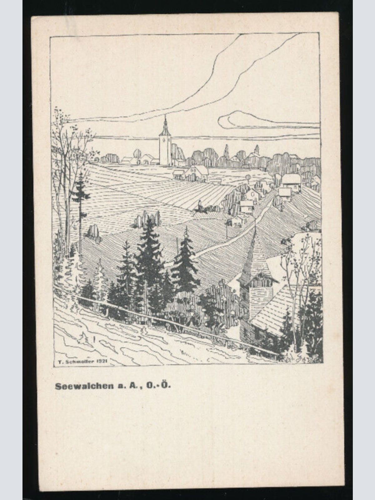 Künstler - Karte von T. Schmoller aus Seewalchen Oberösterreich  (4821)