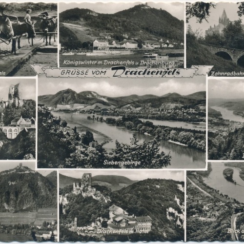 AK, Grüße vom Drachenfels, Königswinter am Rhein, Nordrhein-Westfalen (S549)