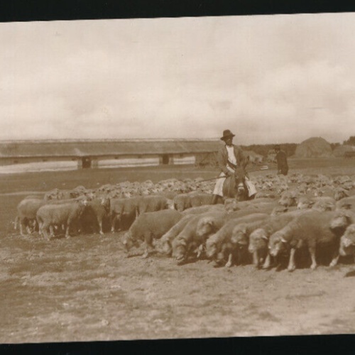 AK , Alföld, von einem Schäfer von der ungarischen Tiefebene  (4244)