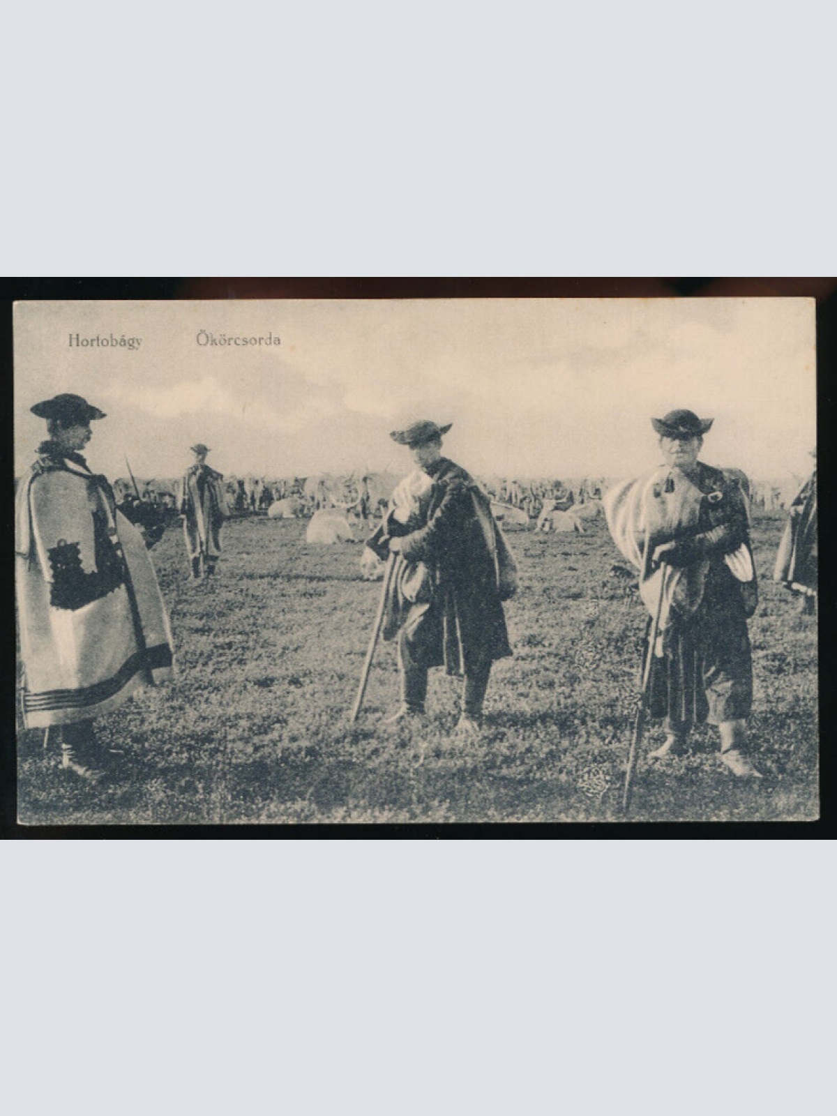 AK aus Hortobagy Ökörcsorda mit Hirten Ungarn (4245)