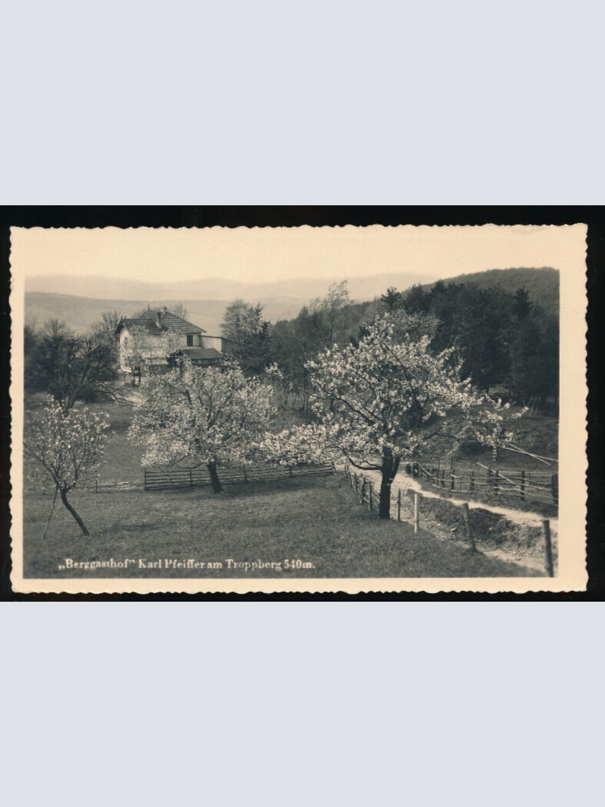 AK vom Berggasthof Karl Pfeiffer am Troppberg Niederösterreich (5026)