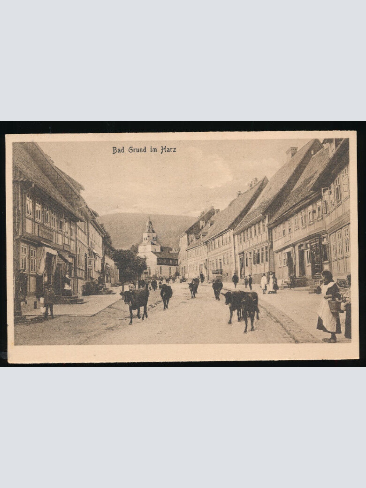 AK aus Bad Grund im Harz Mit Rinder - Kühen auf der Straße Niedersachsen (4520)