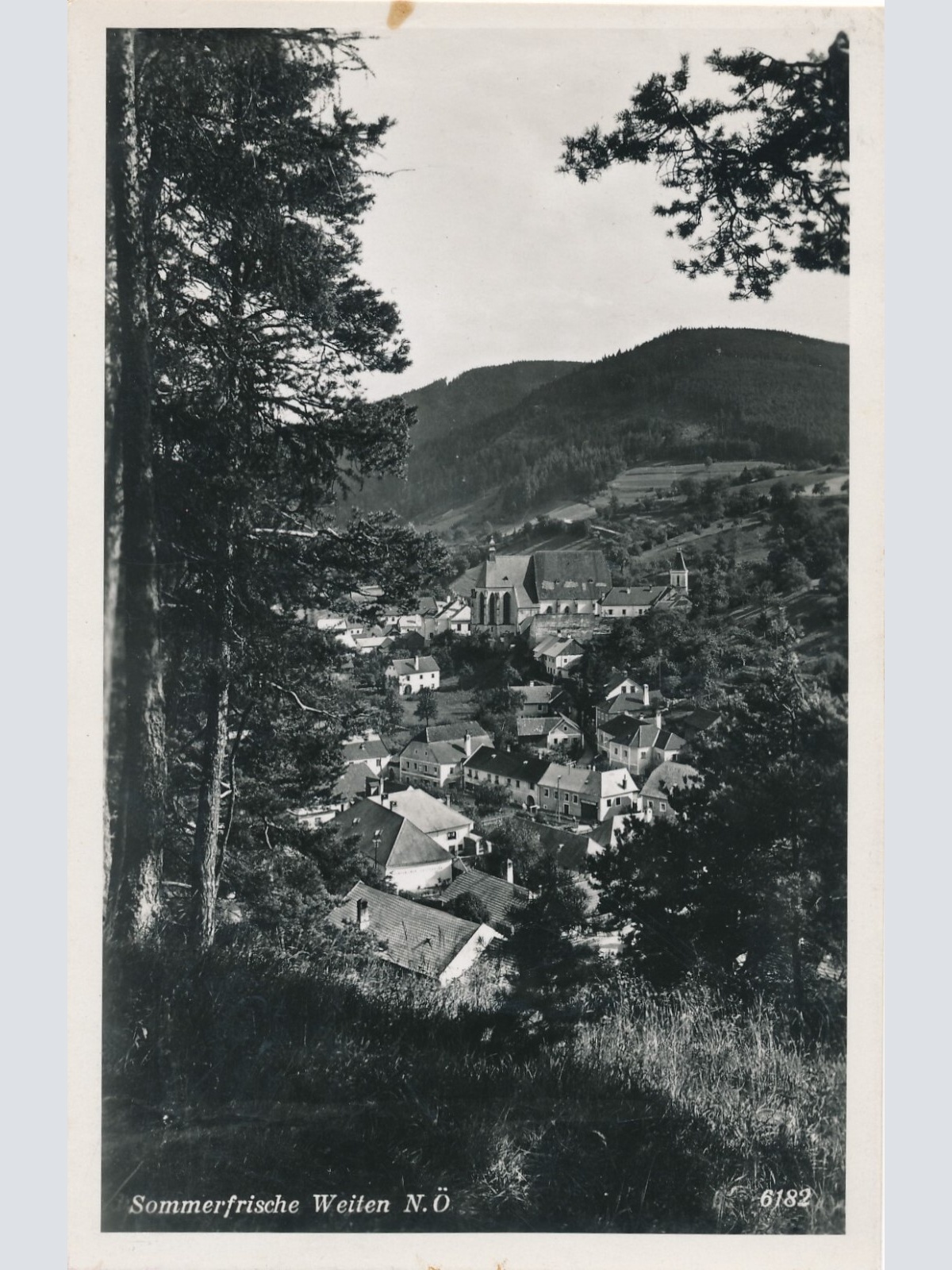 AK, Sommerfrische Weiten, Niederösterreich (S800)