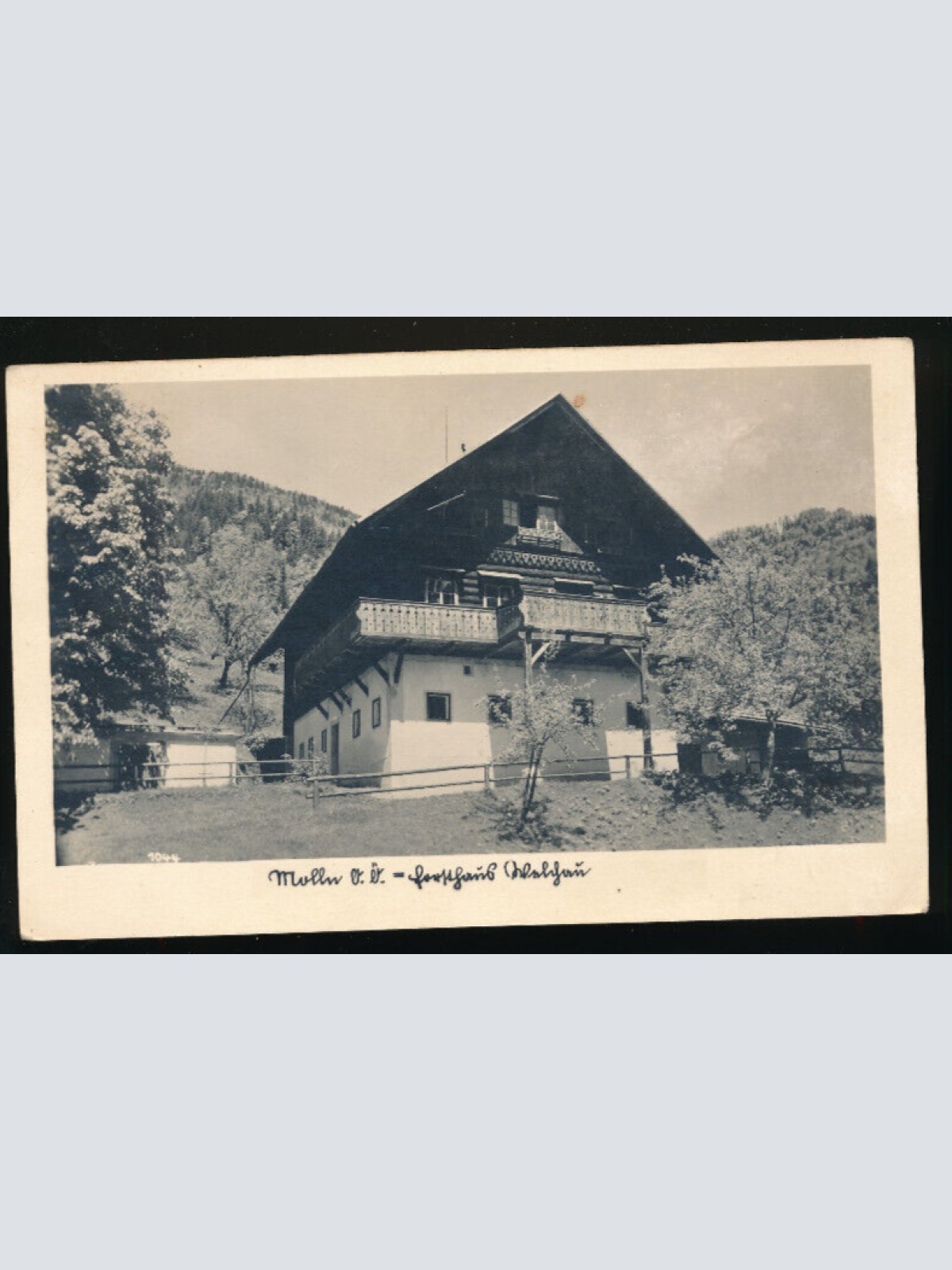 AK aus Molln Oberösterreich (4996)