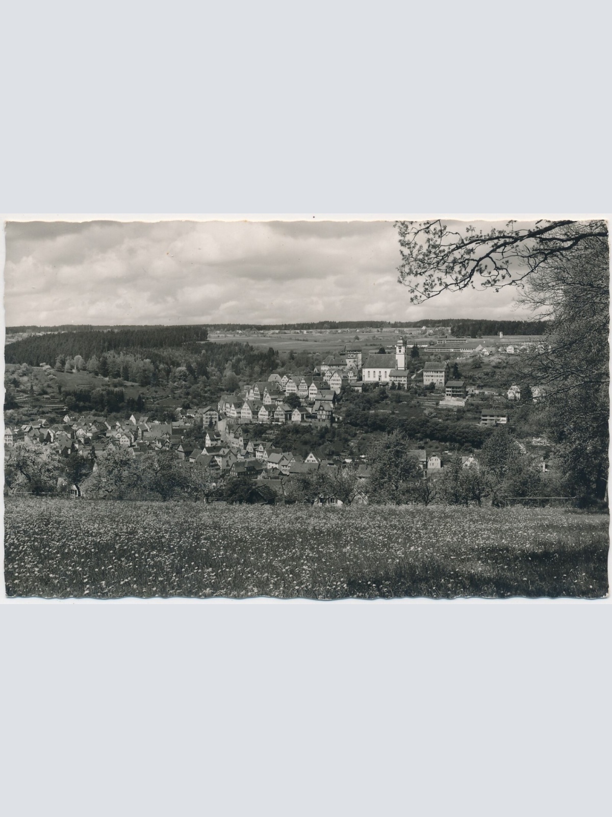 AK, Altensteig, Schwarzwald, Hotel - Cafe Lenk, Baden-Württemberg (S523)