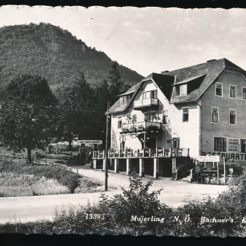 AK aus Majerling Bachners Kaffee Restaurant Niederösterreich (5024)
