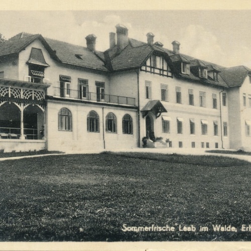 AK, Sommerfrische Laab im Walde, Erholungsheim, Niederösterreich (S875)