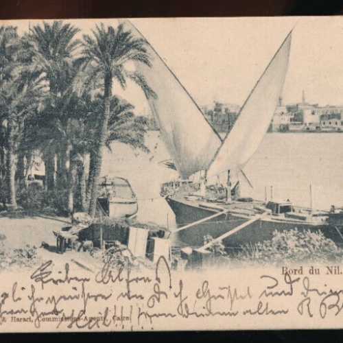 AK vom Nil Bord du Nil Afrika  (5054)