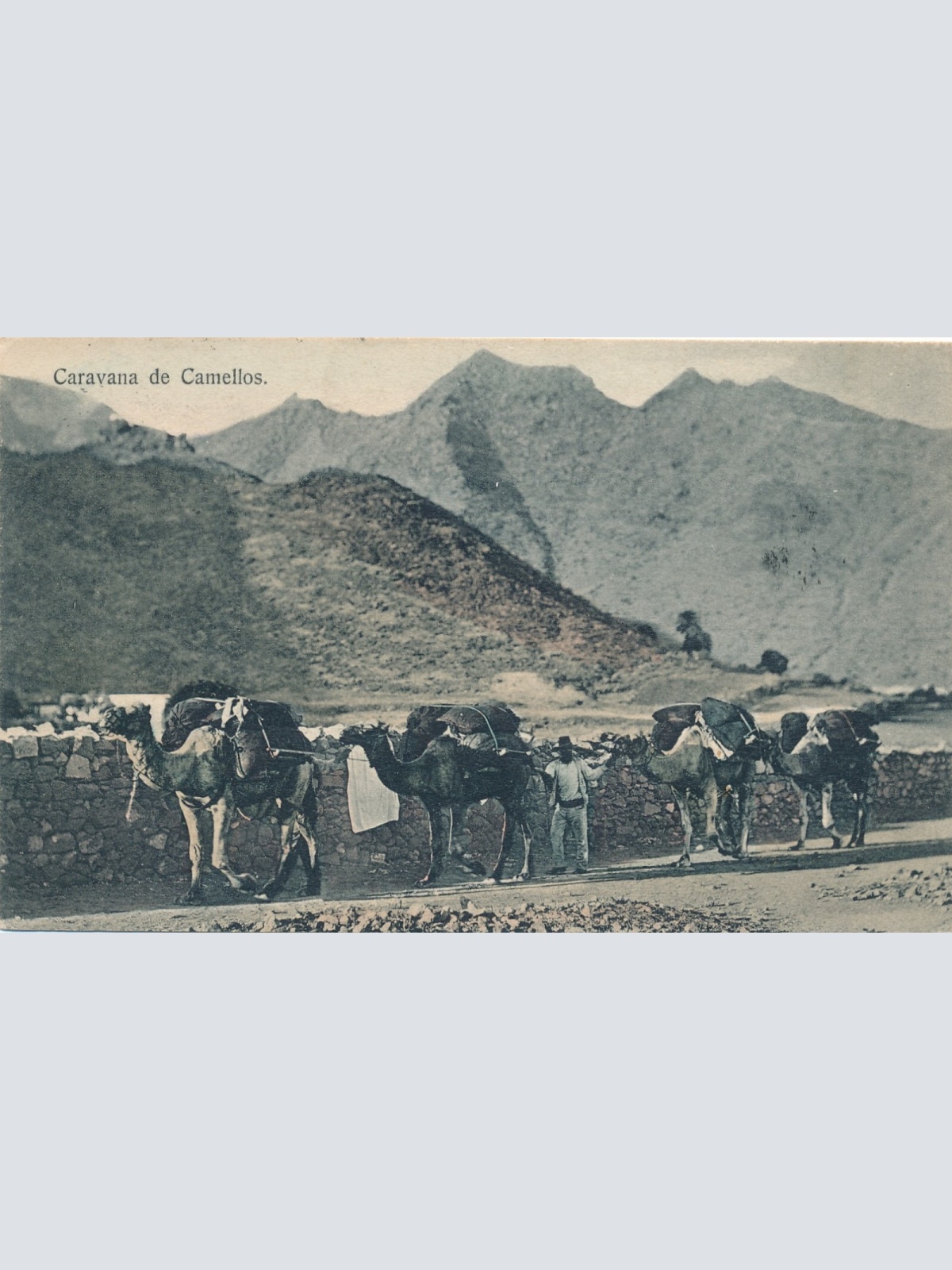 AK, Caravana de Camellos (S668)