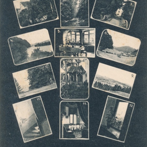 AK, Gruss aus Steinen und Umgebung, Tannwald an der Kandernerstrße (S982)