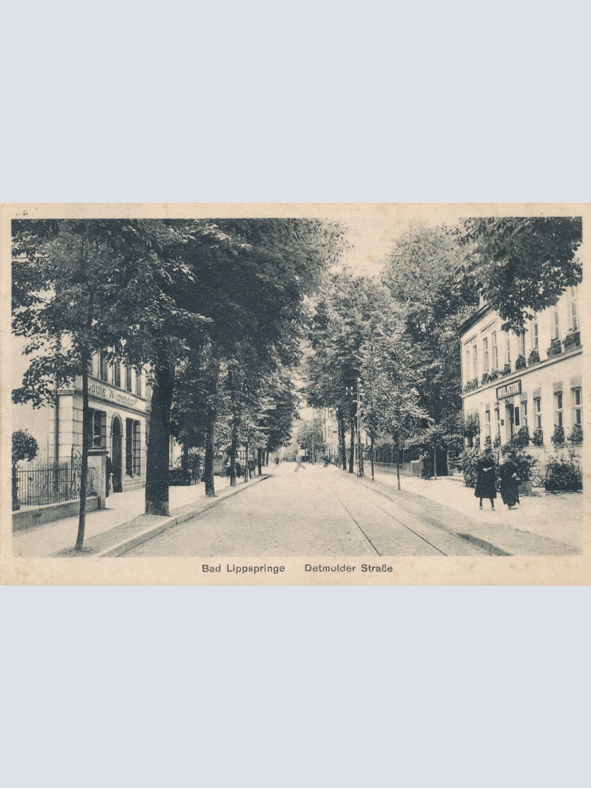 AK, Bad Lippspringe, Demolder Straße, Nordrhein-Westfalen (S983)