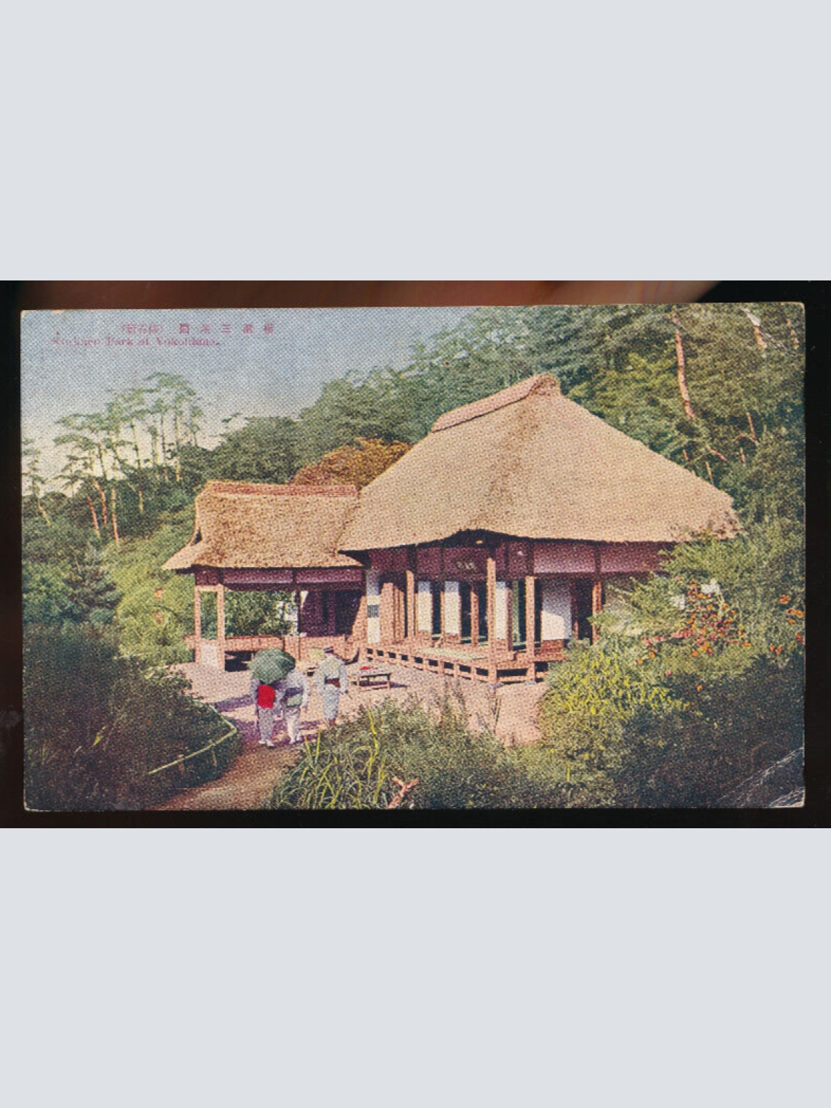 AK aus Sankaen Park at Yokohama Japan (4713)