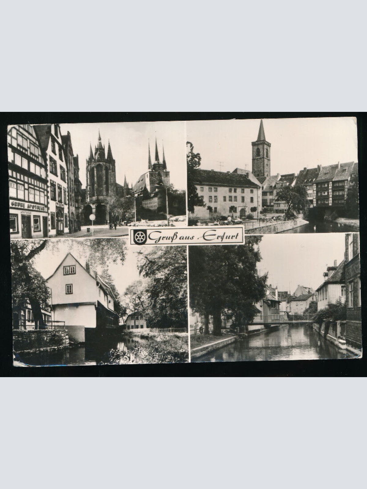 AK aus Erfurt Mehrbildkarte Thüringen (5166)