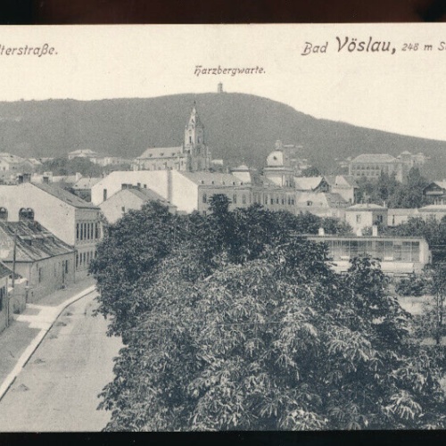 AK aus Vöslau Neustästerstraße Niederösterreich (5156)