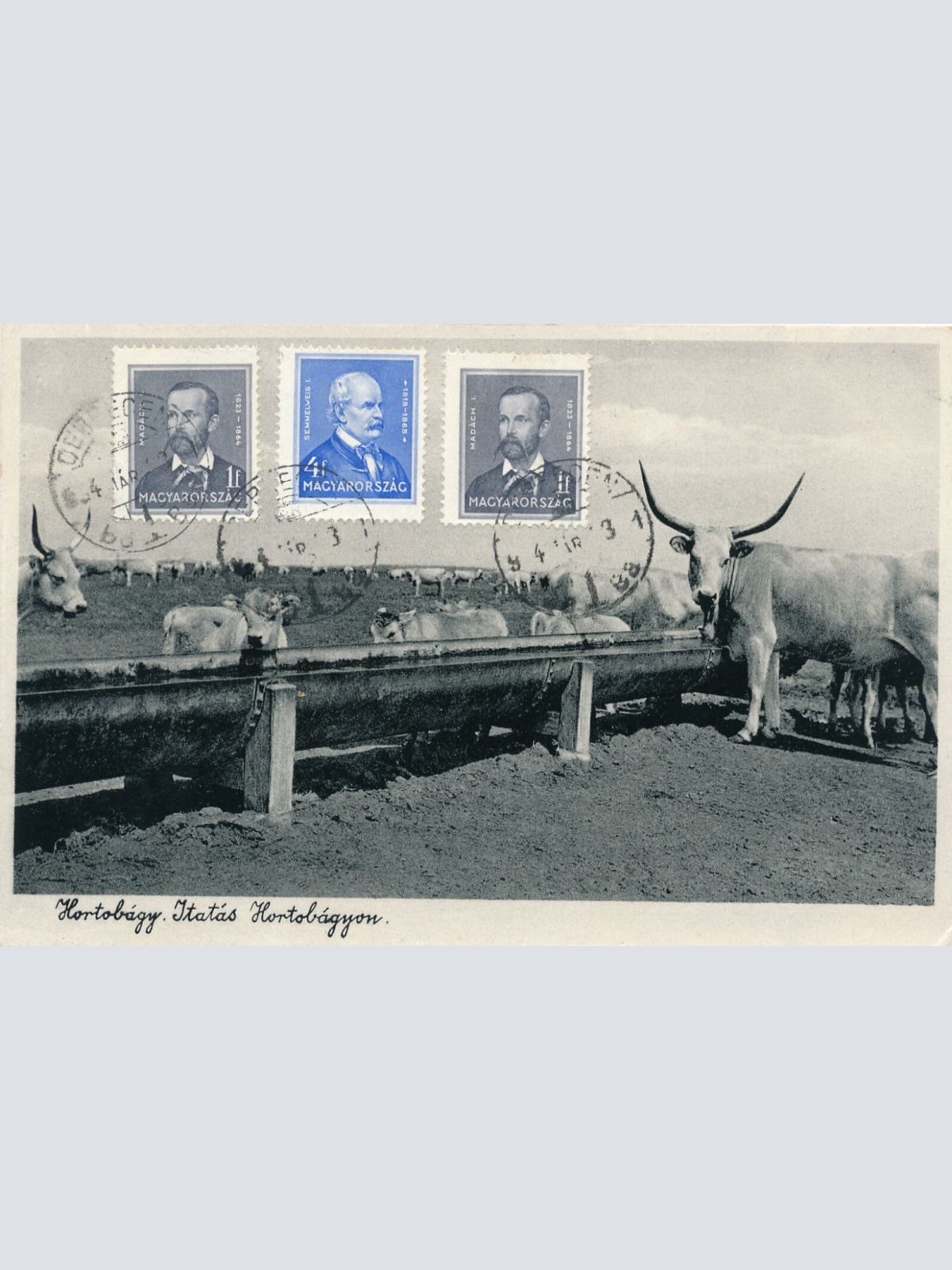 AK, Hortobágy, Ungarn (S952)