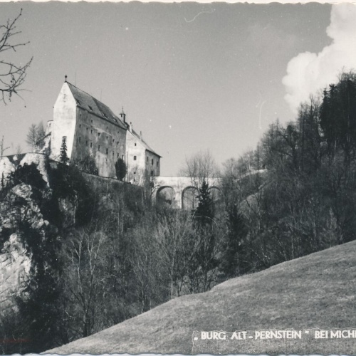AK, Burg Alt-Pernstein bei Micheldorf, Oberösterreich (S1230)