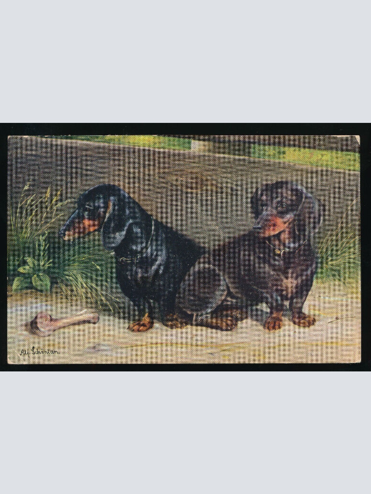 Künstler - Karte von 2 Dackel (5391)