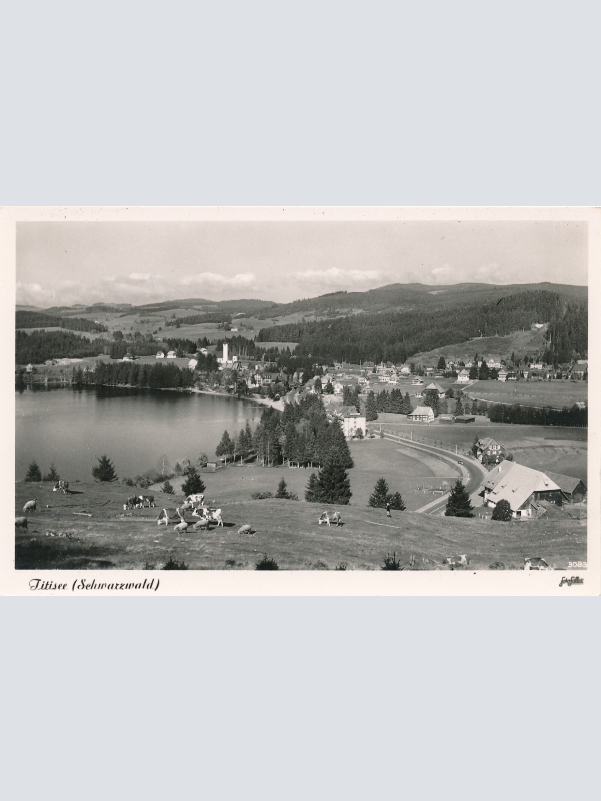 AK, Titisee, Schwarzwald, Baden-Württemberg (S1100)