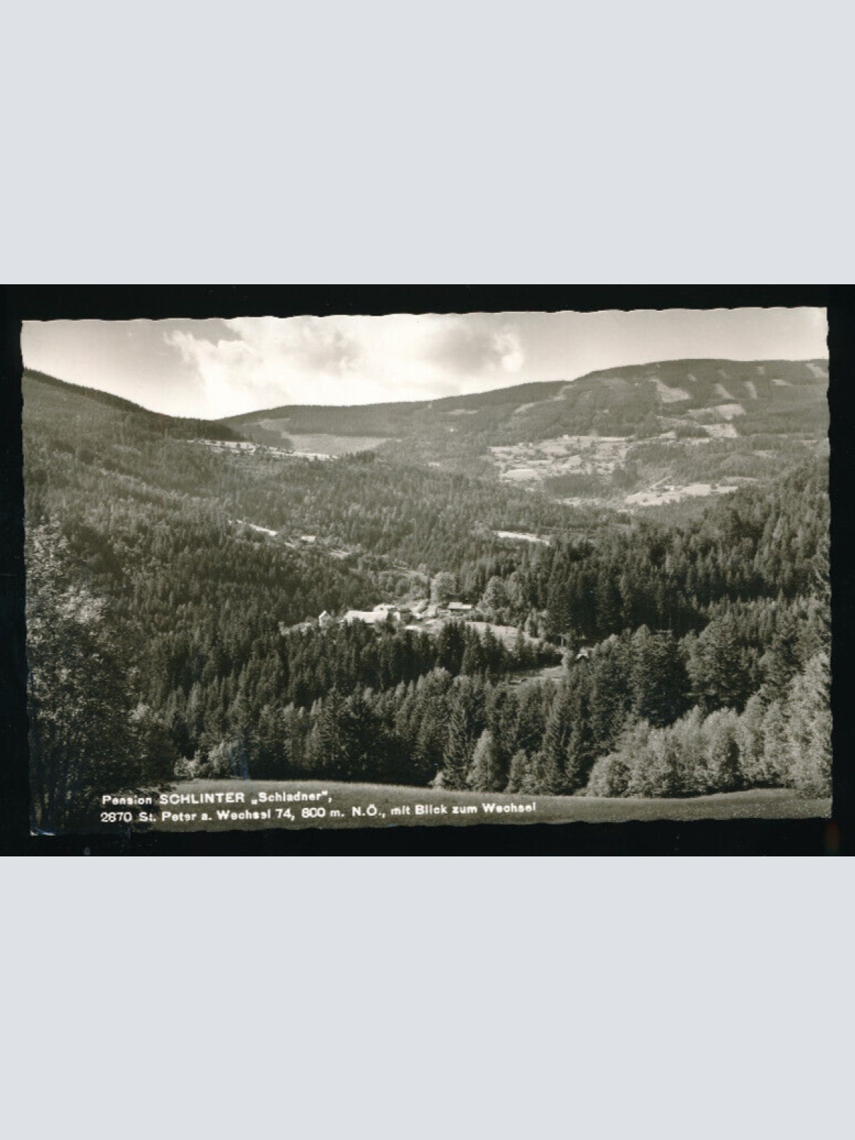 AK von der Pension Schlitner Niederösterreich (5313)