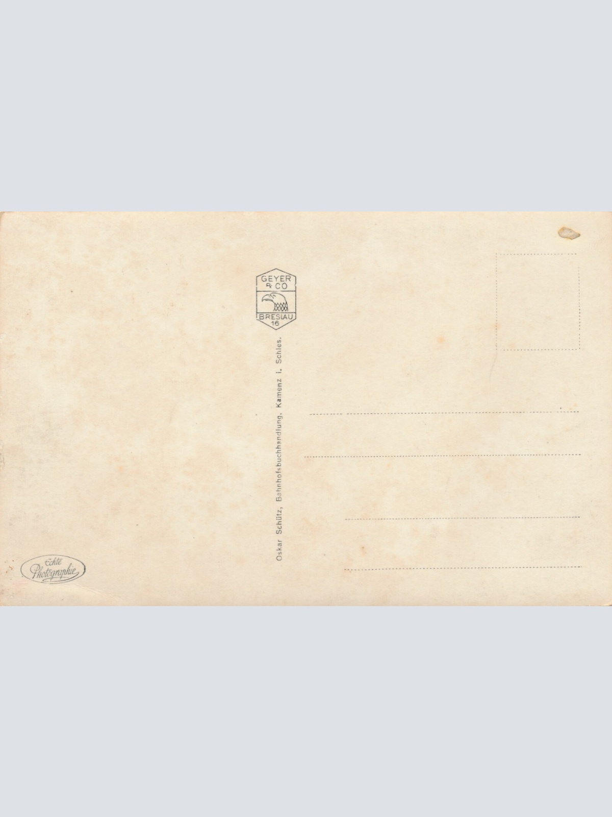 AK, Kamenz Schles. Klg. Prinzl. Schloss u. Gr. Teich-Fontäne, Polen (S1317)