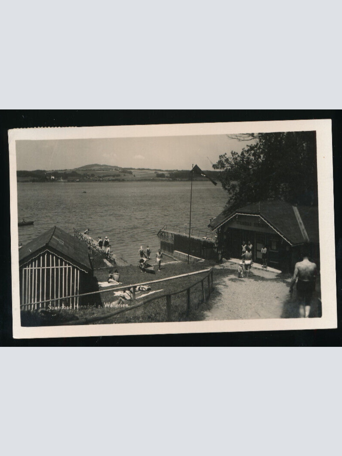 AK aus Henndorf Wallersee Salzburg (5561)