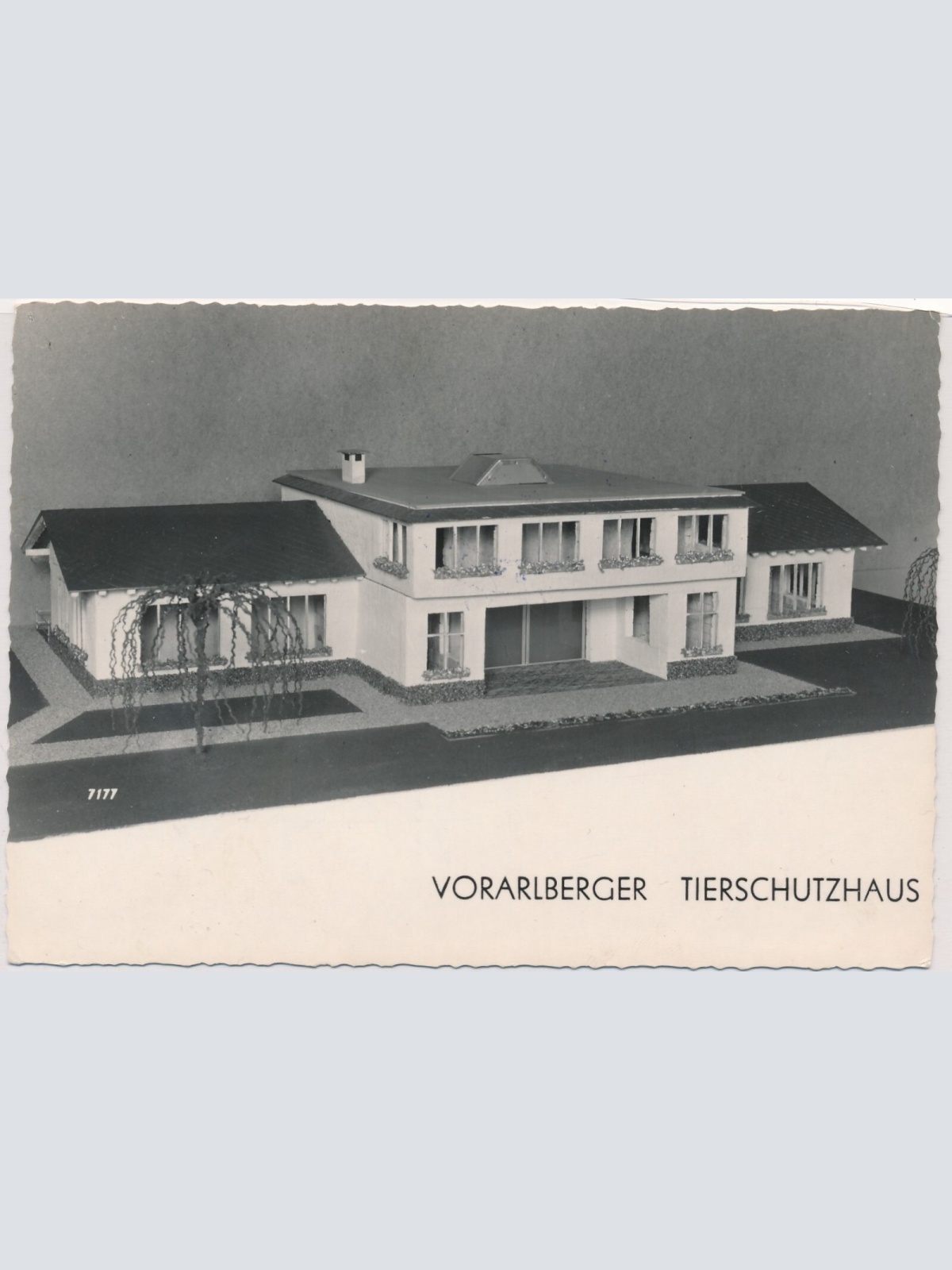 AK, Vorarlberger Tierschutzhaus (S1306)