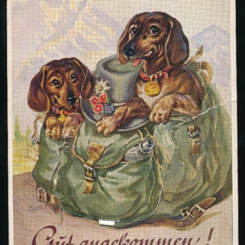 Leparello - AK 2 Dackel im Ruckasck Gut Angekommen (5761)