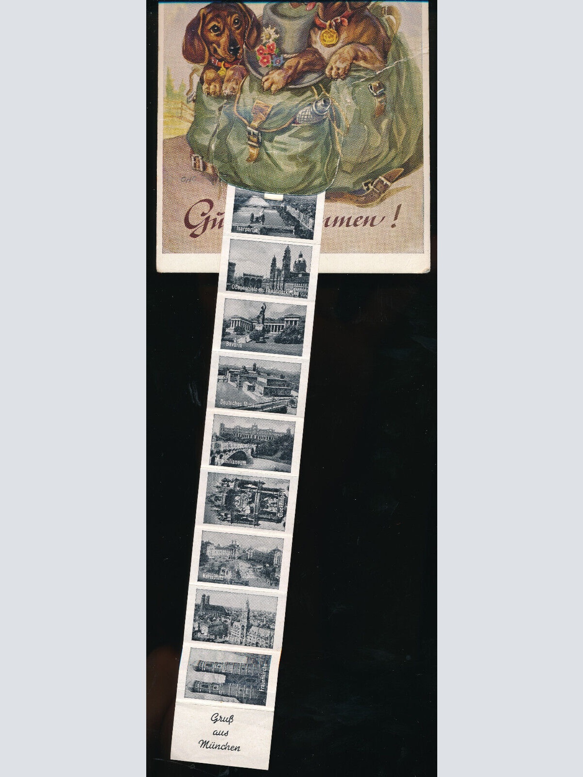 Leparello - AK 2 Dackel im Ruckasck Gut Angekommen (5761)