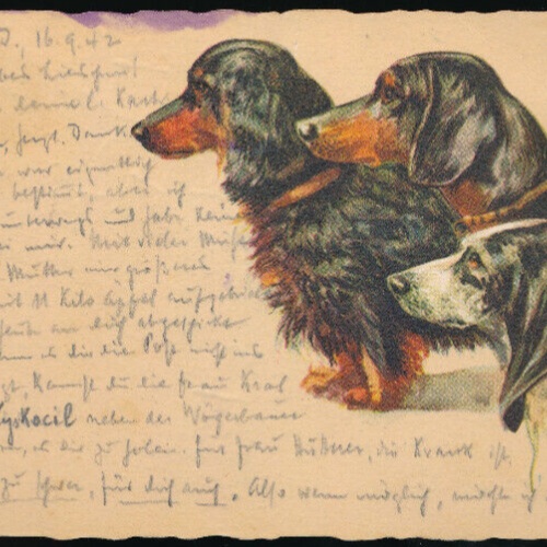 Motiv - Karte von drei Dackeln (5758)