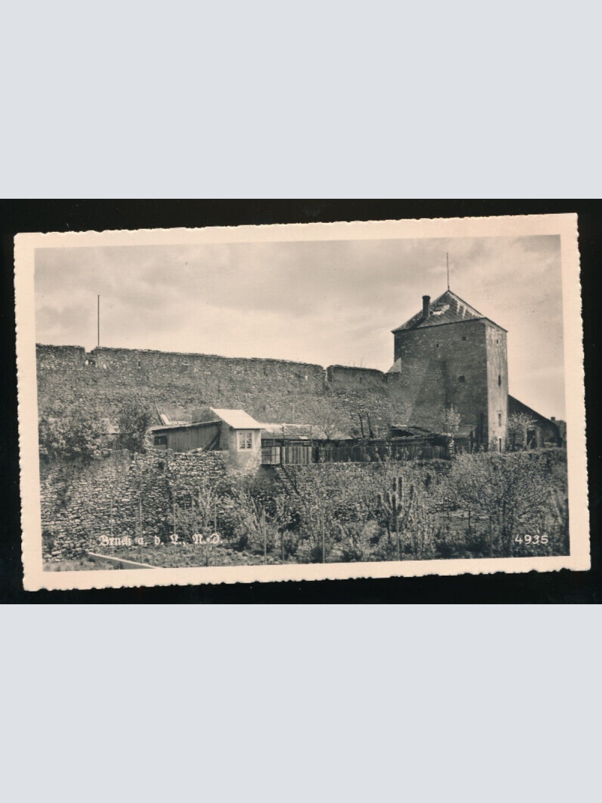 AK aus Bruck an der Leitha Niederösterreich (5879)