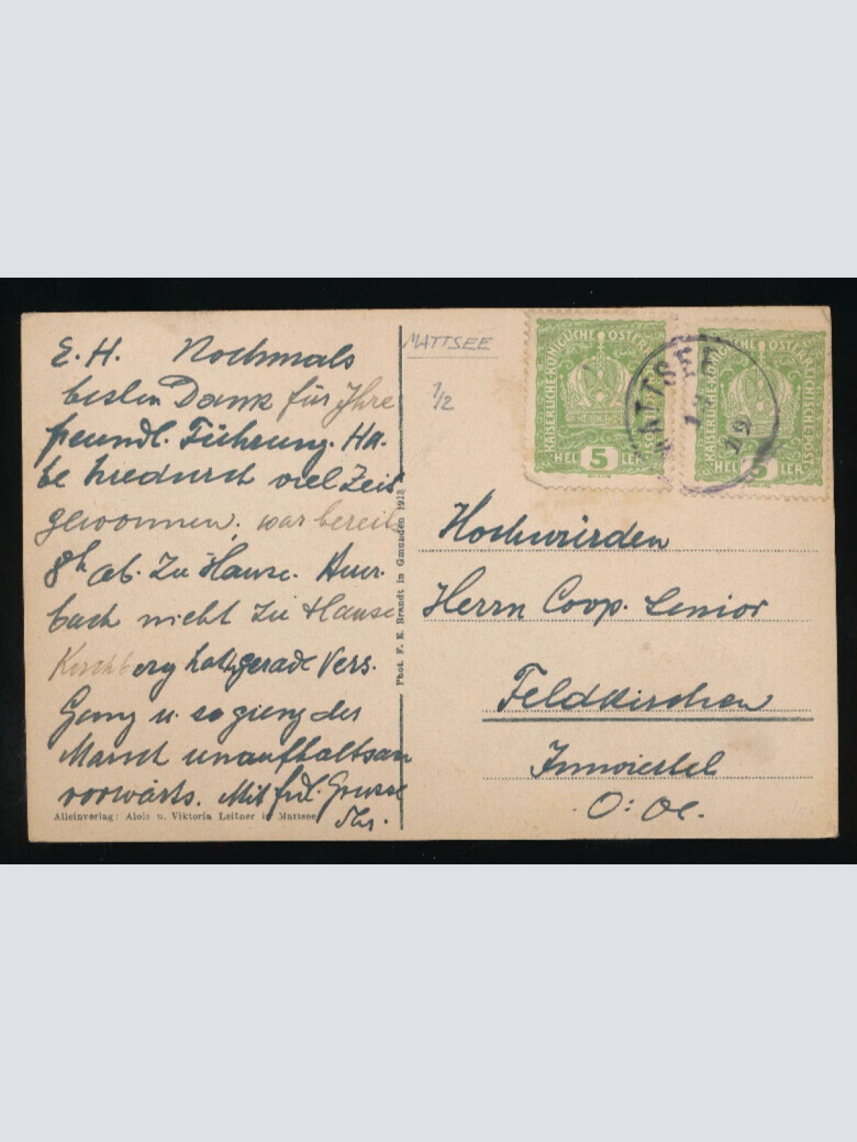 AK aus Mattsee von der Ludwigshöhe Salzburg (5554)