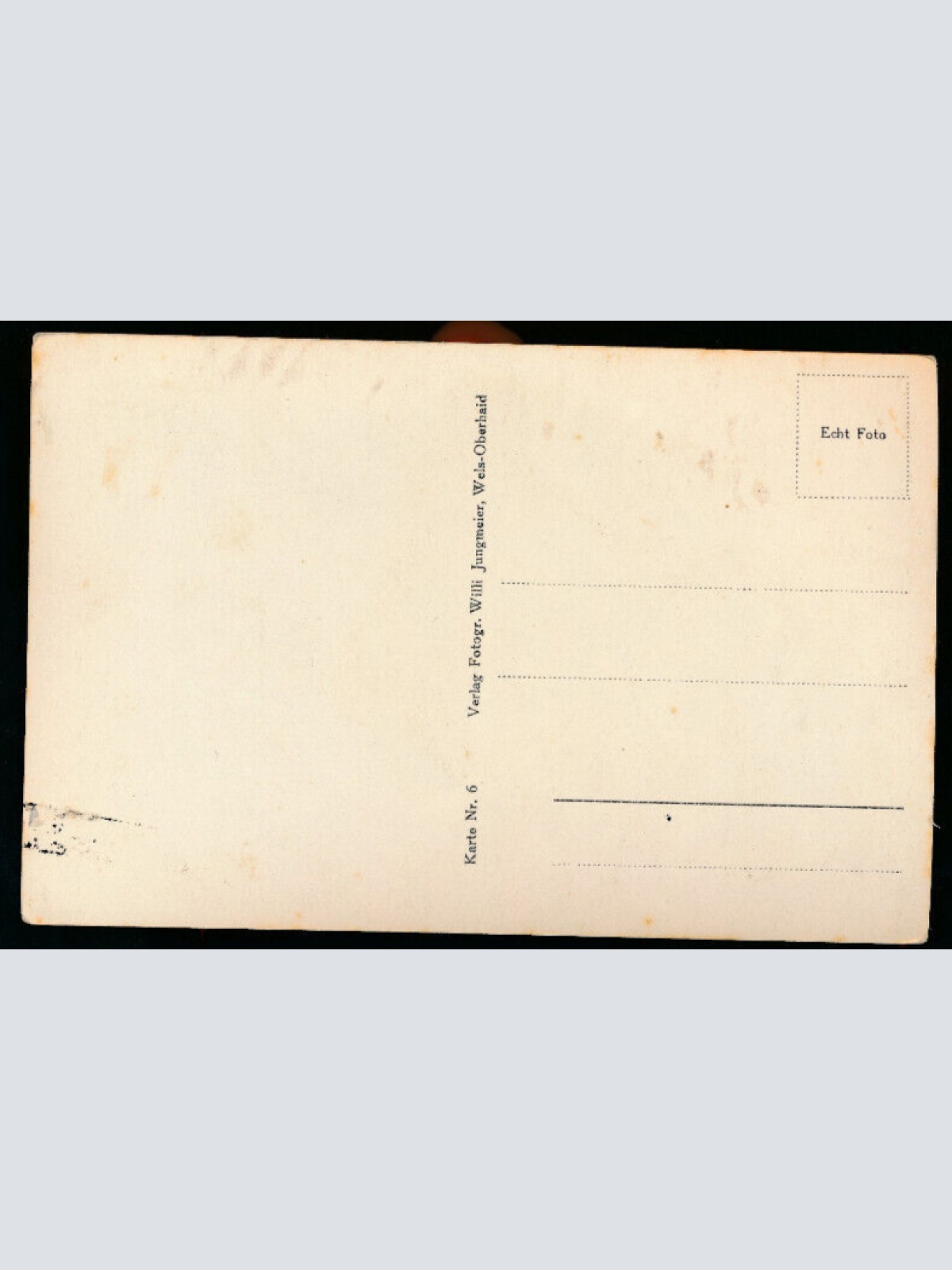 AK aus Wels im Burggarten Oberösterreich (5741)