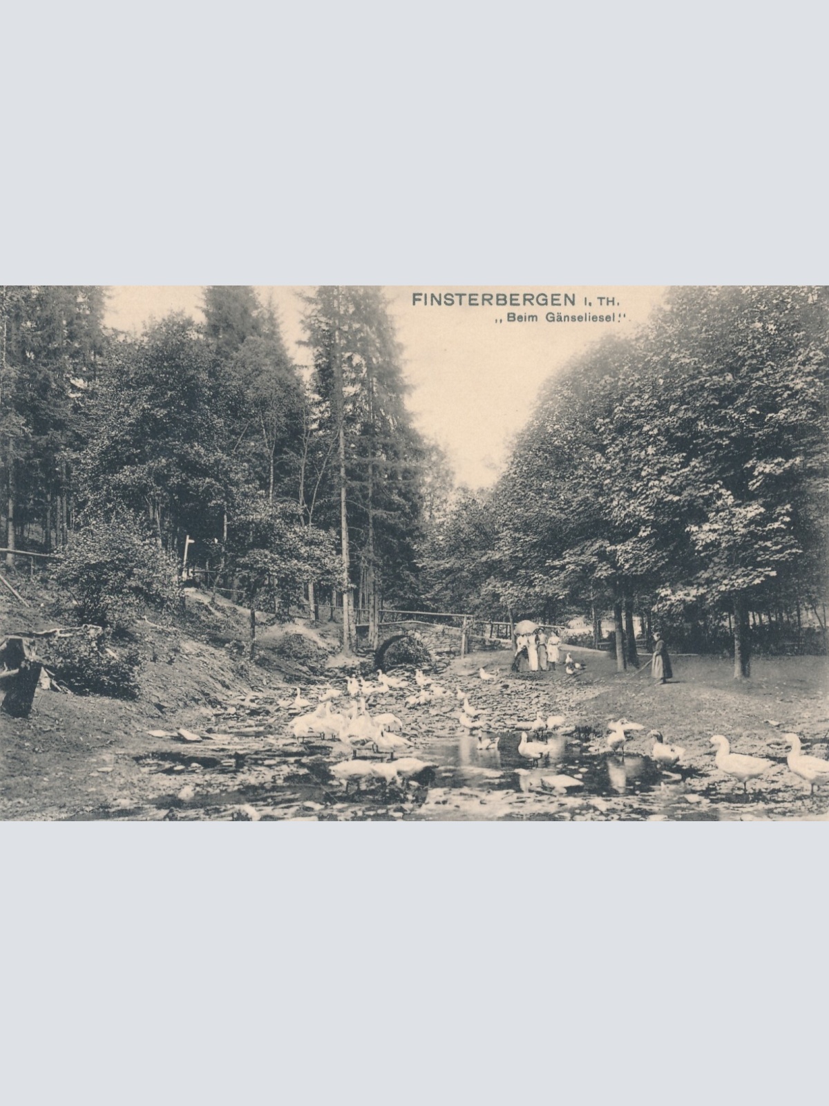 AK, Friedrichroda, Finsterbergen, beim Gänseliesel, Thüringen (S1906)