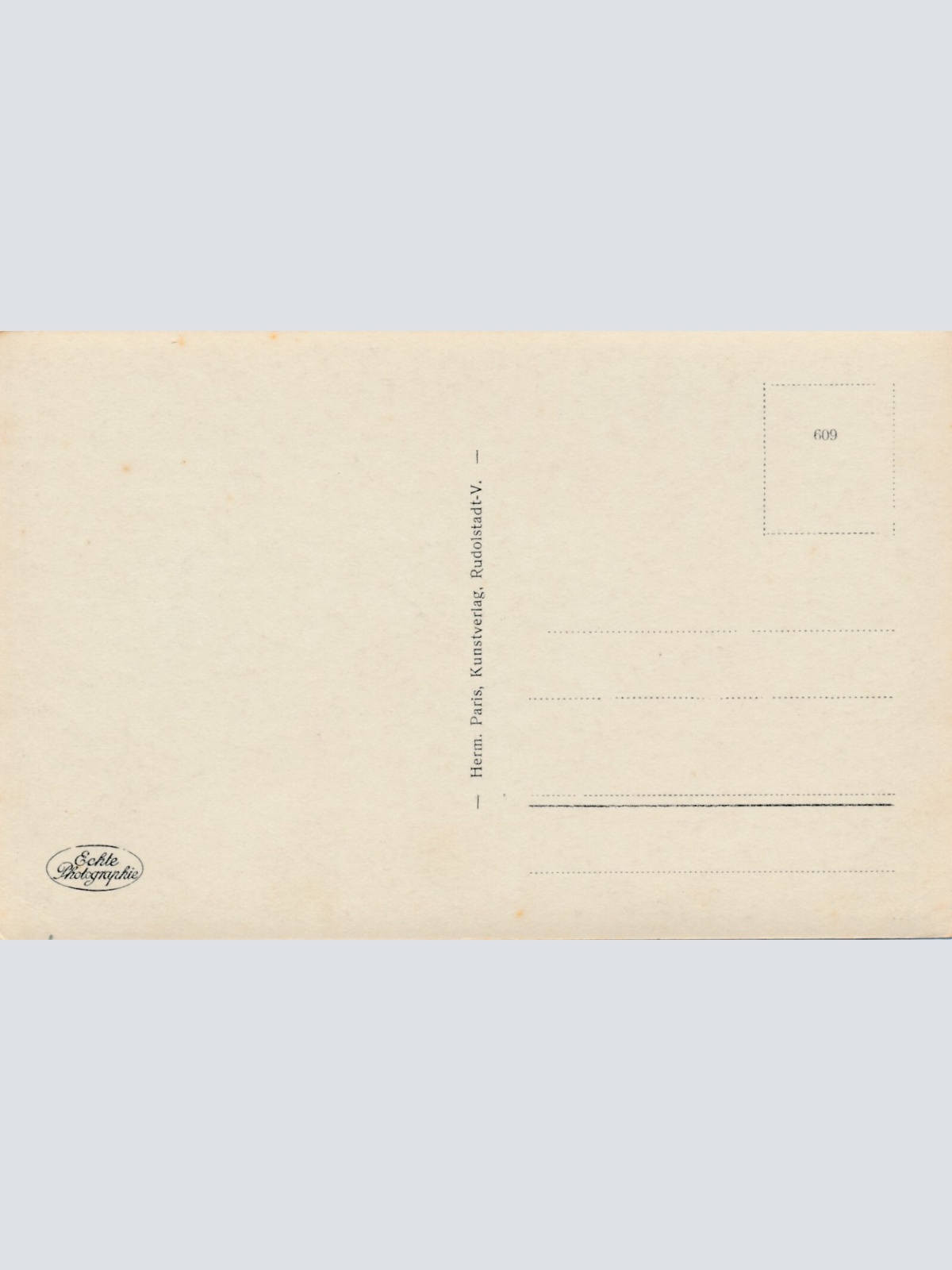 AK, Rudolstadt mit Schloss, Thüringen (S1528)