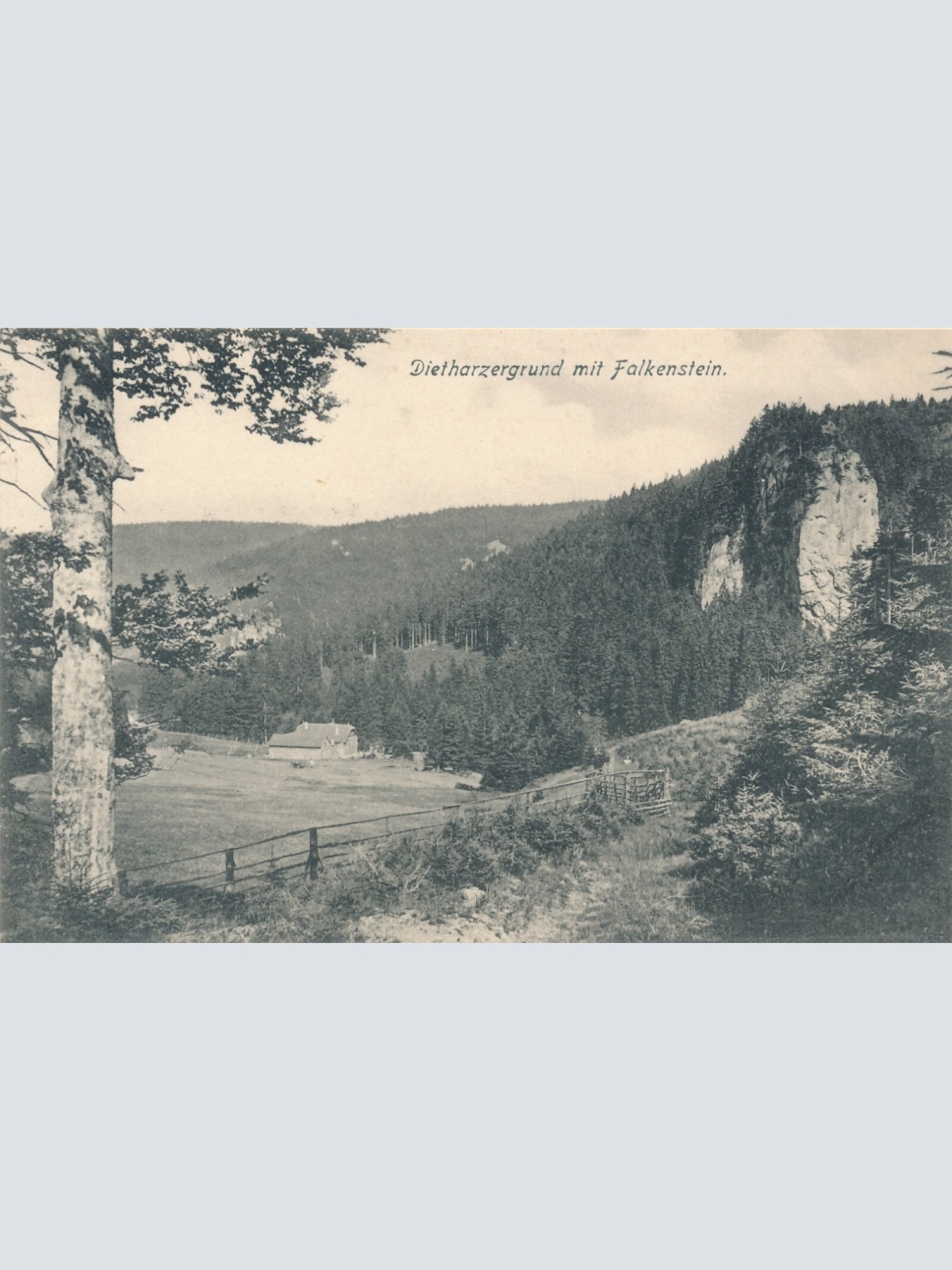 AK, Dietharzergrund mit Falkenstein, Thüringen (S2020)