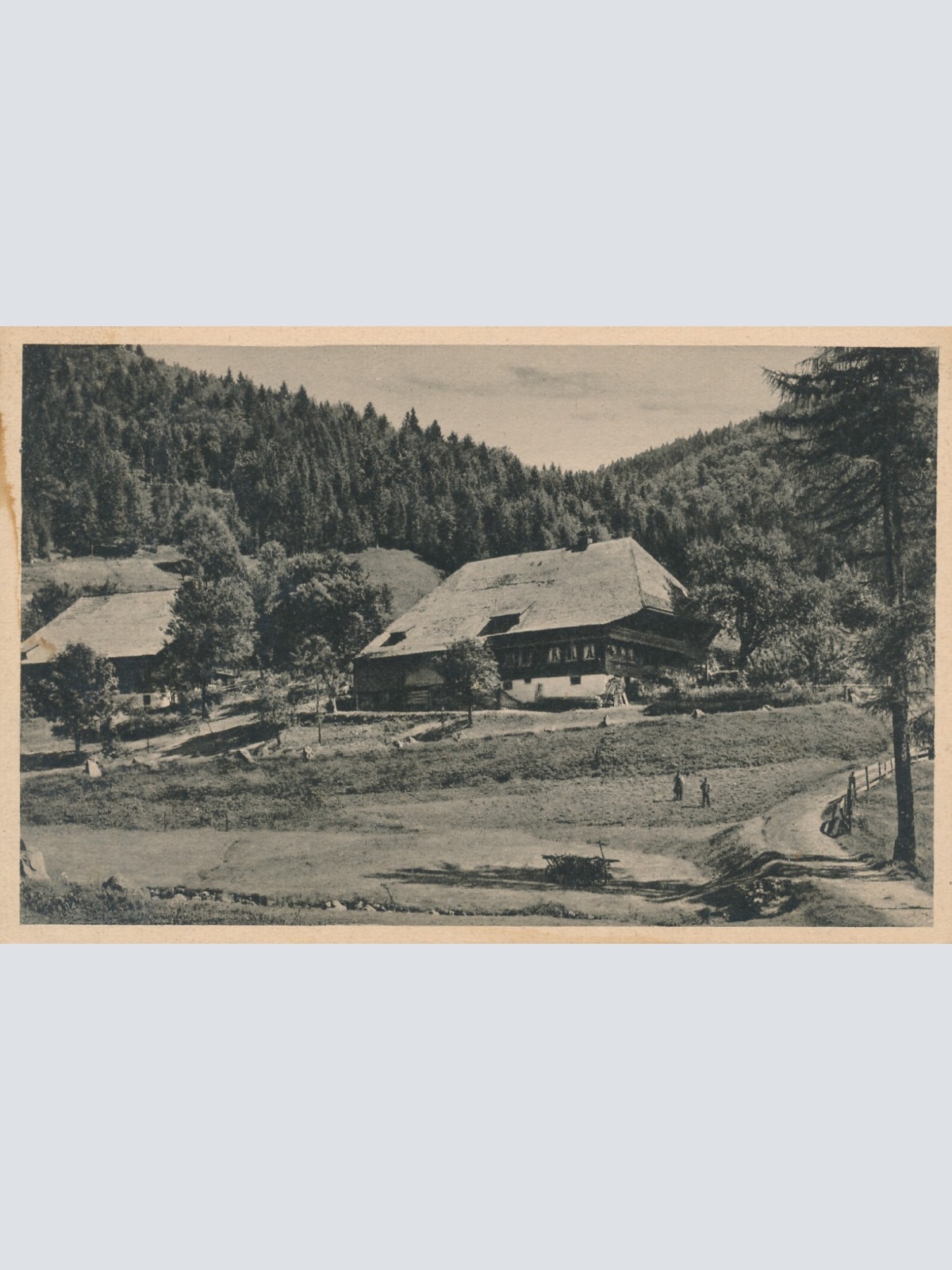 AK, Aus dem Hochschwarzwald (S1756)