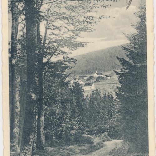 AK, Hermeskeil, Hochwald, Blick auf Damflos, Rheinland-Pfalz (S1759)