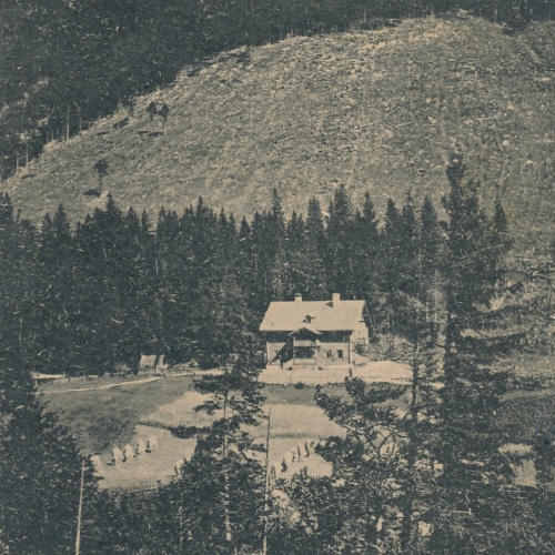 AK vom Spielpichler - Haus am Ötscher Niederösterreich (6342)