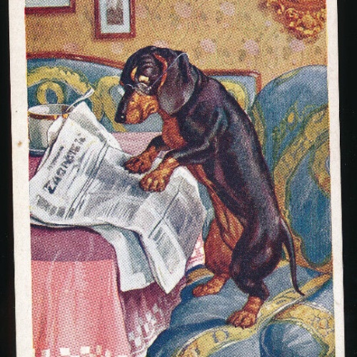 Motiv - Karte Dackel liest Zeitung (5964)