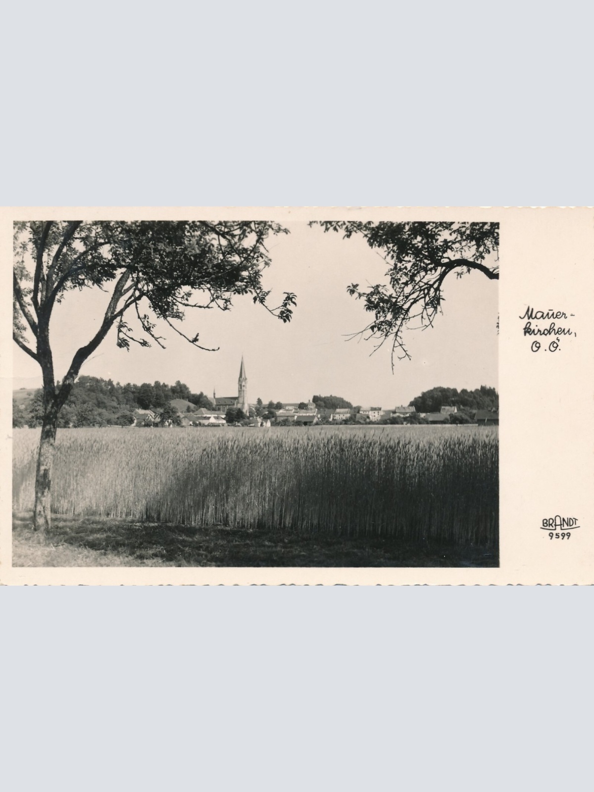 AK aus Mauerkirchen Oberösterreich (6670)