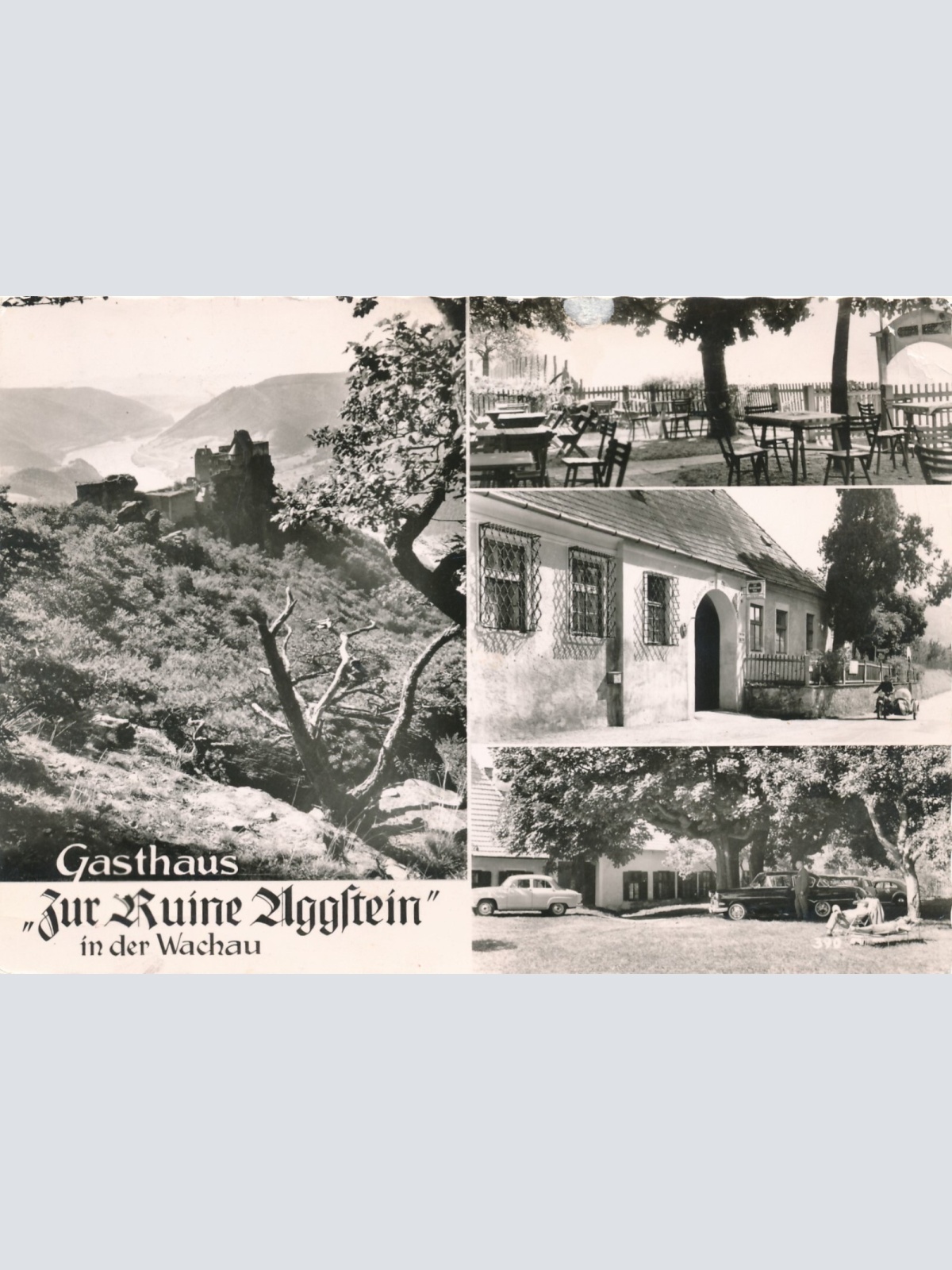 AK aus Wachau mit Gasthaus zur Ruine Aggstein Niederösterreich (6880)